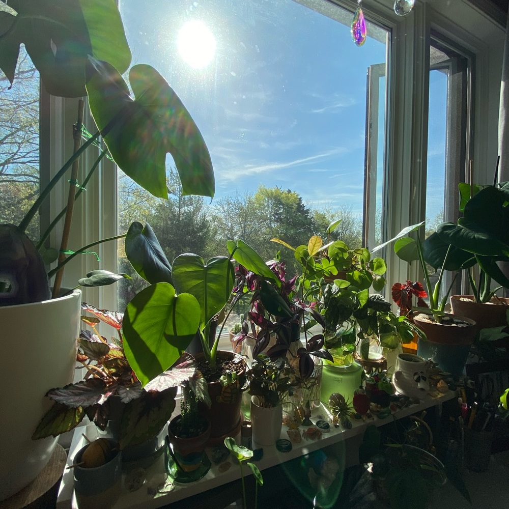 Meet your Posher, Isabella